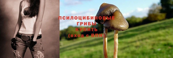 тгк Абдулино