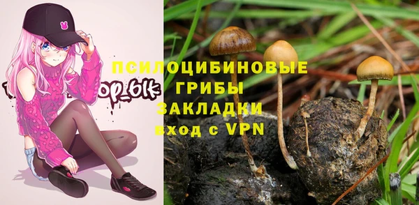 СК Абаза