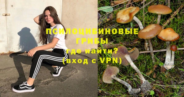 СК Абаза