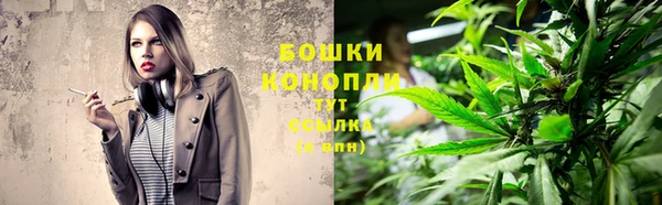 прущие грибы Алзамай